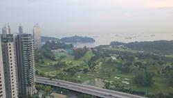Blk 80A Telok Blangah Street 31 (Clementi), HDB 4 Rooms #147858422